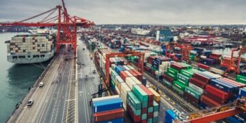 Tanzania Signs Multi-Million Dollar Port Deal With UAE Firm Despite Opposition