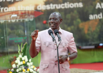 Kenya: Opposition Can Make Noise But I’ll Not Be Distracted – Ruto