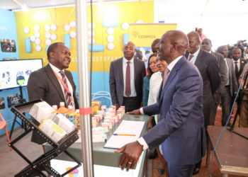Kenya: Our Goal Is To Establish Five More Special Economic Zones – President Ruto