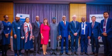 Nigeria, Germany Sign $500m Renewable Energy Pact, Gas Export Agreement
