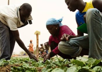 Malawi To Send 5,000 More Citizens To Work On Israeli Farms