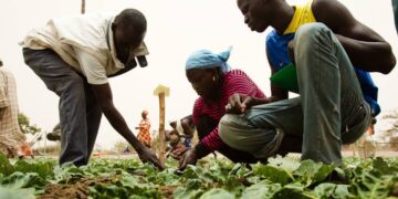Malawi To Send 5,000 More Citizens To Work On Israeli Farms