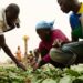 Malawi To Send 5,000 More Citizens To Work On Israeli Farms
