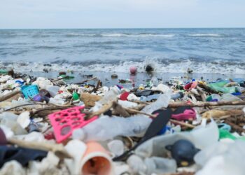 Kenya: Nairobi Summit Moves To Combat Escalating Plastic Pollution