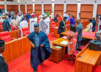 Nigeria: Senate Urges Tinubu To Broker Peace Deal In Israel-Hamas War