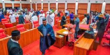 Nigeria: Senate Urges Tinubu To Broker Peace Deal In Israel-Hamas War