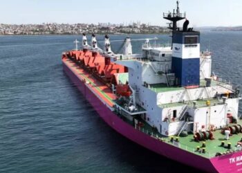 Burkina Faso, Somalia, 4 Others Set To Receive Free Grain From Russia