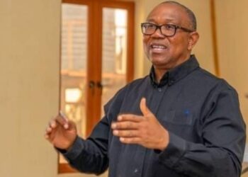 Nigeria: A Professor’s 30 Years Untouched Salary Can’t Buy A Legislator’s Car — Obi