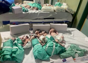 29 Premature Babies Delivered In Gaza Evacuated To Egypt