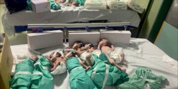 29 Premature Babies Delivered In Gaza Evacuated To Egypt