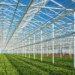 COP28: President Ruto Rallies World Leaders To Turn Africa Into Green Power House