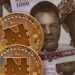 Nigeria To Launch First Regulated Stablecoin