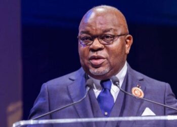 Congo Committed To Constructive Collaboration With OPEC — Minister