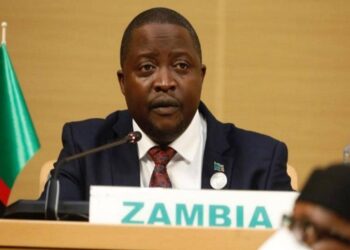 Zambia: Foreign Minister Resigns Over Cash-on-table Video