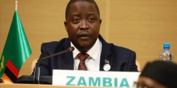 Zambia: Foreign Minister Resigns Over Cash-on-table Video