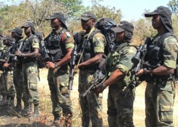 Cameroonian Forces Successfully Rescue 8 Abducted Students