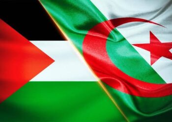 Algeria: League Matches Called Off As Club Goalkeeper, Coach Perish In Auto Crash