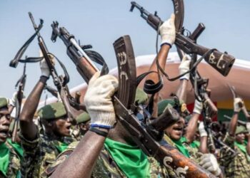 Guinea-Bissau: Heavy Gunfire As Soldiers Free Detained Finance Minister