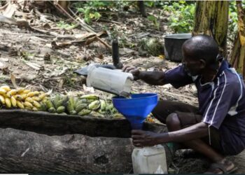 Uganda Takes Steps To Regulate Popular Homemade Banana Brew