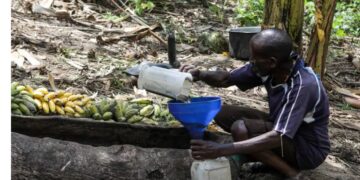 Uganda Takes Steps To Regulate Popular Homemade Banana Brew