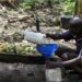 Uganda Takes Steps To Regulate Popular Homemade Banana Brew