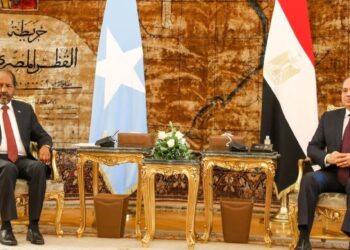 Egypt Backs Somalia Amid Ethiopia-Somaliland Sea Access Tensions