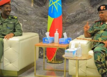 Ethiopia-Somaliland Army Chiefs Meet Amid Regional Tensions