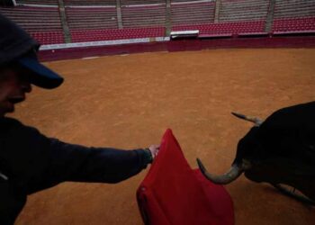 bullfighting