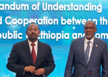 Landlocked Ethiopia Inks Pact With Somaliland For Strategic Red Sea Access
