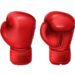Omo-Agege: Top Nigerian Boxing Administrator Incurs Suspension
