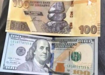 Zimbabweans Compelled To Use US Dollar In Absence Of New Currency ZIG