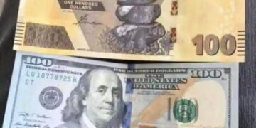Zimbabweans Compelled To Use US Dollar In Absence Of New Currency ZIG