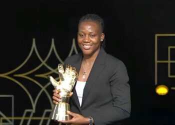 Nigerian International Named Best Goalkeeper In France