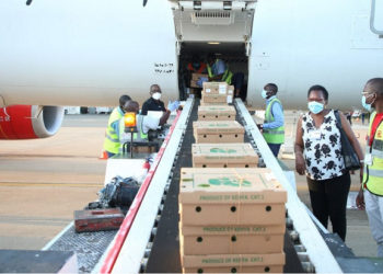 Kenya’s Export Earnings Hit Historic Sh1 Trillion Mark