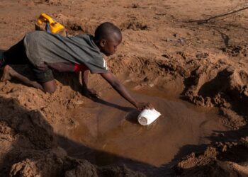 Climate Chaos Fuels Cholera Catastrophe In Africa