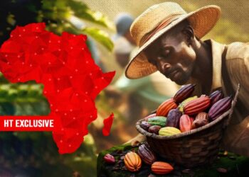 HT EXCLUSIVE: How Scramble For Cocoa Beans Is Causing Deforestation, As Cocoa-Growing Countries In Africa Struggle To Meet Commitments