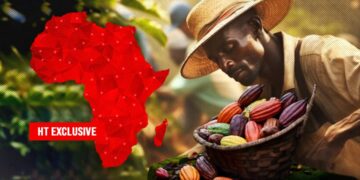 HT EXCLUSIVE: How Scramble For Cocoa Beans Is Causing Deforestation, As Cocoa-Growing Countries In Africa Struggle To Meet Commitments