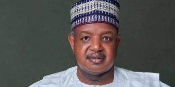 Nigeria Stands By Energy Transition Plans Despite Challenges - Minister