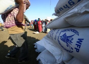 WFP Seeks $400m To Feed Millions In Zimbabwe, Zambia, Others