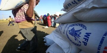 WFP Seeks $400m To Feed Millions In Zimbabwe, Zambia, Others