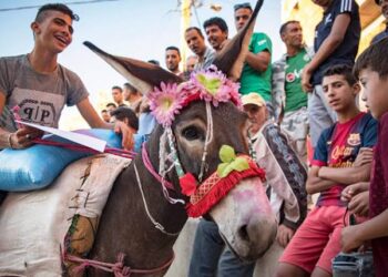 Morocco Celebrates Festibaz Donkey Festival In Style
