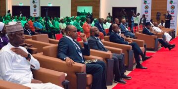 African Leaders Gather In Nigeria To Leverage Gas For Economic Advancement