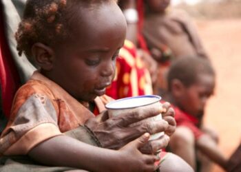 Nigeria: North East At Risk Of Mass Hunger, Death Over Funding Deficit — UN