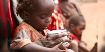 Nigeria: North East At Risk Of Mass Hunger, Death Over Funding Deficit — UN