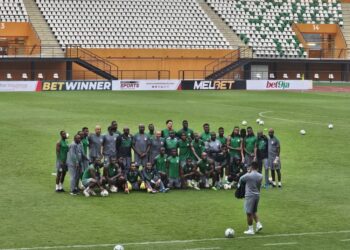 Super Eagles