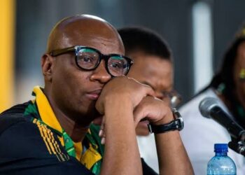 S/Africa: Minister Accused Of Corruption Arrested, Announces Resignation