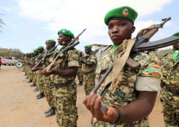 Somalia: Govt Says Hasty Withdraw Of Peacekeepers Could Escalate Insecurity