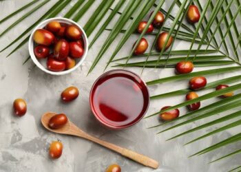 Nigeria, Indonesia To Explore Strategies For Palm Oil Exports