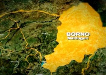 Nigeria: Female Suicide Bomber Kills Several Wedding Guests In Borno