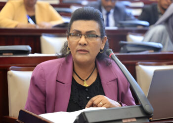 Ethiopia: Audit Report In Parliament Exposes Widespread Corruption